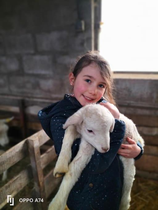 Gite La Dame Au Lit Gite A La Ferme Momignies Экстерьер фото