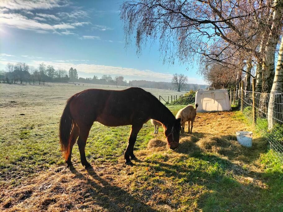 Gite La Dame Au Lit Gite A La Ferme Momignies Экстерьер фото