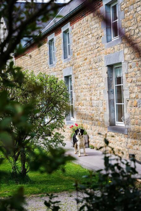 Gite La Dame Au Lit Gite A La Ferme Momignies Экстерьер фото